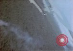 Image of trees Europe, 1945, second 37 stock footage video 65675049791