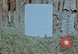 Image of German people Germany, 1945, second 23 stock footage video 65675049795