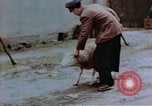 Image of German people Germany, 1945, second 58 stock footage video 65675049795