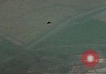 Image of Allies strafing German roads Germany, 1945, second 18 stock footage video 65675049806