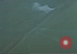 Image of Allies strafing German roads Germany, 1945, second 34 stock footage video 65675049806