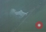 Image of Allies strafing German roads Germany, 1945, second 35 stock footage video 65675049806