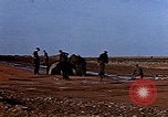 Standbild USA P-47 Flugzeuge Deutschland, 1945, aus Sekunde 35 historischem Filmmaterial Videoclip 65675049815
