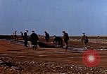 Standbild USA P-47 Flugzeuge Deutschland, 1945, aus Sekunde 42 historischem Filmmaterial Videoclip 65675049815