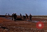Standbild USA P-47 Flugzeuge Deutschland, 1945, aus Sekunde 44 historischem Filmmaterial Videoclip 65675049815