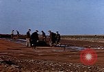 Standbild USA P-47 Flugzeuge Deutschland, 1945, aus Sekunde 45 historischem Filmmaterial Videoclip 65675049815