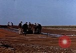 Standbild USA P-47 Flugzeuge Deutschland, 1945, aus Sekunde 46 historischem Filmmaterial Videoclip 65675049815