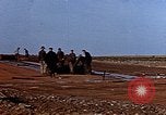 Standbild USA P-47 Flugzeuge Deutschland, 1945, aus Sekunde 47 historischem Filmmaterial Videoclip 65675049815
