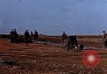 Standbild USA P-47 Flugzeuge Deutschland, 1945, aus Sekunde 52 historischem Filmmaterial Videoclip 65675049815