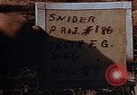 Standbild USA P-47 Flugzeuge Deutschland, 1945, aus Sekunde 3 historischem Filmmaterial Videoclip 65675049816