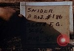 Standbild USA P-47 Flugzeuge Deutschland, 1945, aus Sekunde 4 historischem Filmmaterial Videoclip 65675049816