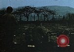 Image of 40 mm gun Germany, 1945, second 5 stock footage video 65675049819