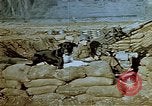 Image of 40 mm gun Germany, 1945, second 21 stock footage video 65675049819