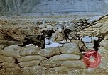 Image of 40 mm gun Germany, 1945, second 22 stock footage video 65675049819