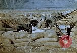 Image of 40 mm gun Germany, 1945, second 23 stock footage video 65675049819