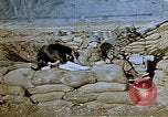 Image of 40 mm gun Germany, 1945, second 25 stock footage video 65675049819