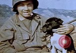 Image of 40 mm gun Germany, 1945, second 26 stock footage video 65675049819