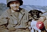 Image of 40 mm gun Germany, 1945, second 28 stock footage video 65675049819