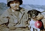 Image of 40 mm gun Germany, 1945, second 32 stock footage video 65675049819