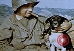 Image of 40 mm gun Germany, 1945, second 33 stock footage video 65675049819