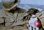 Image of 40 mm gun Germany, 1945, second 34 stock footage video 65675049819