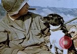 Image of 40 mm gun Germany, 1945, second 35 stock footage video 65675049819