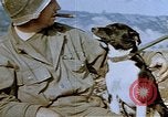 Image of 40 mm gun Germany, 1945, second 36 stock footage video 65675049819