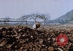 Image of 40 mm gun Germany, 1945, second 61 stock footage video 65675049819