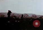 Image of 40 mm gun crew Germany, 1945, second 12 stock footage video 65675049821
