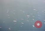Standbild Alliierten Kriegsschiffe in der Bucht Neapel Italien, 1943, aus Sekunde 14 historischem Filmmaterial Videoclip 65675049824