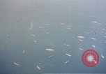 Standbild Alliierten Kriegsschiffe in der Bucht Neapel Italien, 1943, aus Sekunde 15 historischem Filmmaterial Videoclip 65675049824