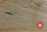 Image of Allied invasion gliders and C-47 tow planes parked France, 1944, second 34 stock footage video 65675049825