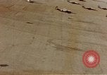 Image of Allied invasion gliders and C-47 tow planes parked France, 1944, second 38 stock footage video 65675049825