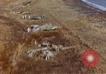 Image of Allied invasion gliders and C-47 tow planes parked France, 1944, second 48 stock footage video 65675049825