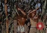 Image bâtiment du 65e Escadron de chasse Club durant Seconde Guerre Mondiale Corse France, 1944, de la seconde 1 séquences d'archives historiques vidéo 65675049832