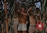 Image bâtiment du 65e Escadron de chasse Club durant Seconde Guerre Mondiale Corse France, 1944, de la seconde 3 séquences d'archives historiques vidéo 65675049832