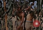 Image bâtiment du 65e Escadron de chasse Club durant Seconde Guerre Mondiale Corse France, 1944, de la seconde 5 séquences d'archives historiques vidéo 65675049832