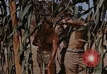 Image bâtiment du 65e Escadron de chasse Club durant Seconde Guerre Mondiale Corse France, 1944, de la seconde 6 séquences d'archives historiques vidéo 65675049832