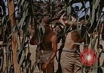 Image bâtiment du 65e Escadron de chasse Club durant Seconde Guerre Mondiale Corse France, 1944, de la seconde 7 séquences d'archives historiques vidéo 65675049832