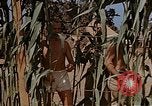Image bâtiment du 65e Escadron de chasse Club durant Seconde Guerre Mondiale Corse France, 1944, de la seconde 10 séquences d'archives historiques vidéo 65675049832