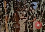 Image bâtiment du 65e Escadron de chasse Club durant Seconde Guerre Mondiale Corse France, 1944, de la seconde 11 séquences d'archives historiques vidéo 65675049832