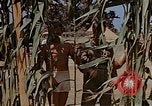 Image bâtiment du 65e Escadron de chasse Club durant Seconde Guerre Mondiale Corse France, 1944, de la seconde 12 séquences d'archives historiques vidéo 65675049832