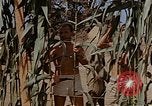 Image bâtiment du 65e Escadron de chasse Club durant Seconde Guerre Mondiale Corse France, 1944, de la seconde 13 séquences d'archives historiques vidéo 65675049832