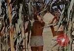 Image bâtiment du 65e Escadron de chasse Club durant Seconde Guerre Mondiale Corse France, 1944, de la seconde 14 séquences d'archives historiques vidéo 65675049832