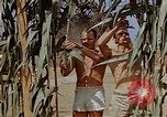 Image bâtiment du 65e Escadron de chasse Club durant Seconde Guerre Mondiale Corse France, 1944, de la seconde 15 séquences d'archives historiques vidéo 65675049832