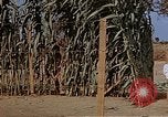 Image bâtiment du 65e Escadron de chasse Club durant Seconde Guerre Mondiale Corse France, 1944, de la seconde 22 séquences d'archives historiques vidéo 65675049832