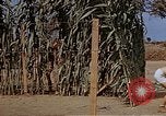 Image bâtiment du 65e Escadron de chasse Club durant Seconde Guerre Mondiale Corse France, 1944, de la seconde 23 séquences d'archives historiques vidéo 65675049832