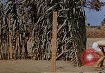 Image bâtiment du 65e Escadron de chasse Club durant Seconde Guerre Mondiale Corse France, 1944, de la seconde 24 séquences d'archives historiques vidéo 65675049832
