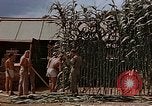 Image bâtiment du 65e Escadron de chasse Club durant Seconde Guerre Mondiale Corse France, 1944, de la seconde 46 séquences d'archives historiques vidéo 65675049832