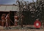 Image bâtiment du 65e Escadron de chasse Club durant Seconde Guerre Mondiale Corse France, 1944, de la seconde 47 séquences d'archives historiques vidéo 65675049832